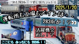 〈4K〉苗穂工場のキツネ🦊だってびっくり！？👀工場\u0026運転所も 徐々に増えてくキハ283系‼︎✨（789系カムイは中間車トリオだし・・✨）【2025/1/20】