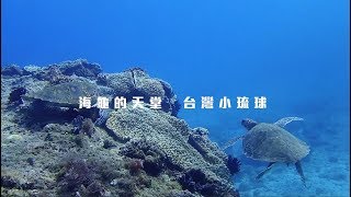 #去台灣TripTaiwan  #海龜的天堂 ＃小琉球