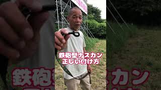 リードの外れにくい付け方👍　#Shorts