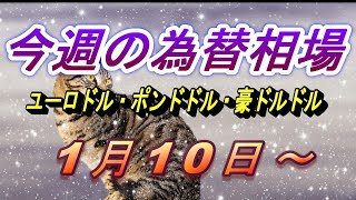 【TAKA FX】ユーロドル、ポンドドル、豪ドルドルの今週の為替相場の動きと来週の展望をチャートから解説。1月10日～