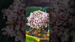 പുളിയുറുമ്പ് ചമ്മന്തിയും പാൽകപ്പയും kappayum#forestkitchen #keralafood #tribal