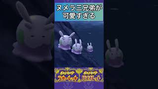 【ポケモンSV】野生のヌメラ三兄弟が可愛すぎる件