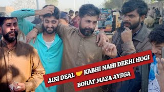 Naseeb Ka Soda Bakra Mandi Lahore Latest Update 7 January 2025