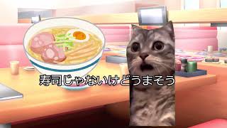 回転寿司に行っただけ話 【猫ミーム】 【猫マニ】