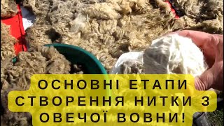 Як отримати нитку з овечої 🐏 вовни? Основні етапи роботи з вовною від миття до прядіння нитки 🧶!