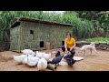 FULL VIDEO: Building Bamboo House For Duck, Stone Wall, Garden Harvest, Bamboo Fence