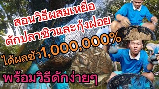 สอนวิธีผสมเหยื่อดักกุ้งและปลาซิลรับรองได้ผลชัว1000,000%..พร้อมวิธีการดัก..ดูว่าจะได้ผลจริงหรือไม่