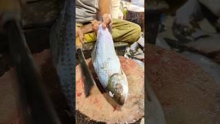 Fish Cuttng lnFish#reels Market#shortvideo #fishcuttingskills #viral #shorts#shortvideo#shortvid