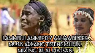 Lammiin Lammiif by Ashaa Birree, New Oromo Music Official 2023.