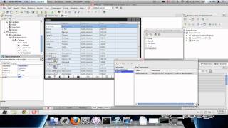 LiveBindings Delphi XE 2 Firemonkey Mac OS X and Windows