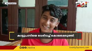 കോഴിക്കോട് തിരുവമ്പാടിയില്‍ കാട്ടുപന്നി ആക്രമണത്തില്‍ വിദ്യാര്‍ഥിക്ക് പരുക്കേറ്റു