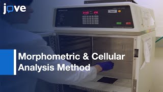 Morphometric \u0026 Cellular Analysis Method for Murine Mandibular Condyle l Protocol Preview