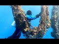 Divers fish for 'ghost nets' off idyllic Greek island of Santorini | AFP