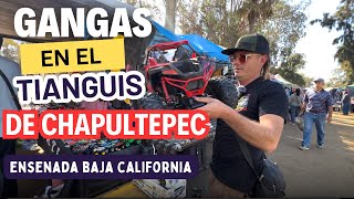 ¡Encontramos las MEJORES GANGAS en el Tianguis del Ejido Chapultepec! 💰🛒 | Compras en Ensenada