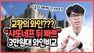 교황의 와인?? 샤또네프 뒤 빠쁘 3만원대 마트와인 과연 마실만 할까요??