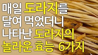 도라지의 효능 6가지,  매일 도라지 달여 먹었더니 나타난 놀라운 변화