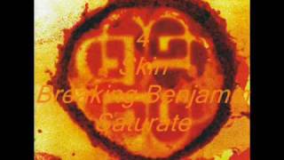 Breaking Benjamin - Polyamorous, Skin & Natural Life