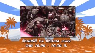 บรรเลงครัวทั่วไทย : จ.​สมุทรสงคราม (24 ก.ย.59)