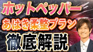 【整骨院・鍼灸院】ホットペッパー解禁！？あはき柔整プランを徹底解説【集客 経営 マーケティング】