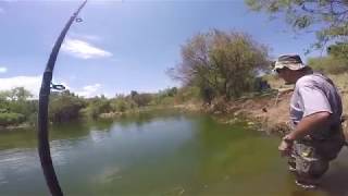 Catfish Fishing, Roodeplaat Dam (South Africa)