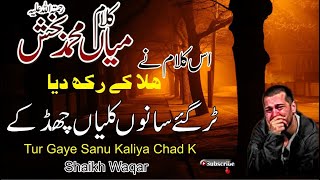 Tur Gaye Sanu Kaliyan Chad K | Sufi Kalam Mian Muhammad Baksh Saif Ul Malook | Shaikh Waqar