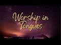 🔴 WORSHIP SPEAKING IN TONGUES / SPONTANEOUS MUSIC / PRAYER TIME