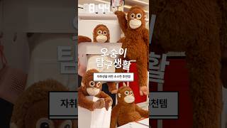 혼자사는 오숭이의 필수템 3가지 🐵