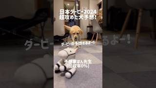 日本ダービー2024予想★ジャスティンミラノ、レガレイアは買わない！超攻めた犬予想！#shorts #日本ダービー #labradorretriever #ラブラドールレトリバー #競馬予想