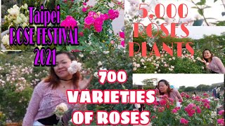 TAIPEI ROSE FESTIVAL 2021 (PART2) 5,000 ROSES OF PLANTS and 700 VARIETIES//YhangSaitAdventurer