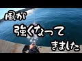 【紀州釣り】初めて沖堤防で紀州釣り　惨敗しました　…が90cmヒラマサ拝めました