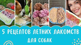 5 БЫСТРЫХ ЛЕТНИХ РЕЦЕПТОВ ДЛЯ ЛИЗАТЕЛЬНОГО КОВРИКА | Замороженные Вкусняшки Для Собак | МОРОЖЕНОЕ!!!