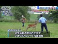 荒川土手をシカ疾走　28日も・・・目撃者「人懐っこい」 20 06 02