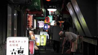 Tokyo night walk - Japanese old bar streets  2012年・夜の東京散歩 大井町と大森