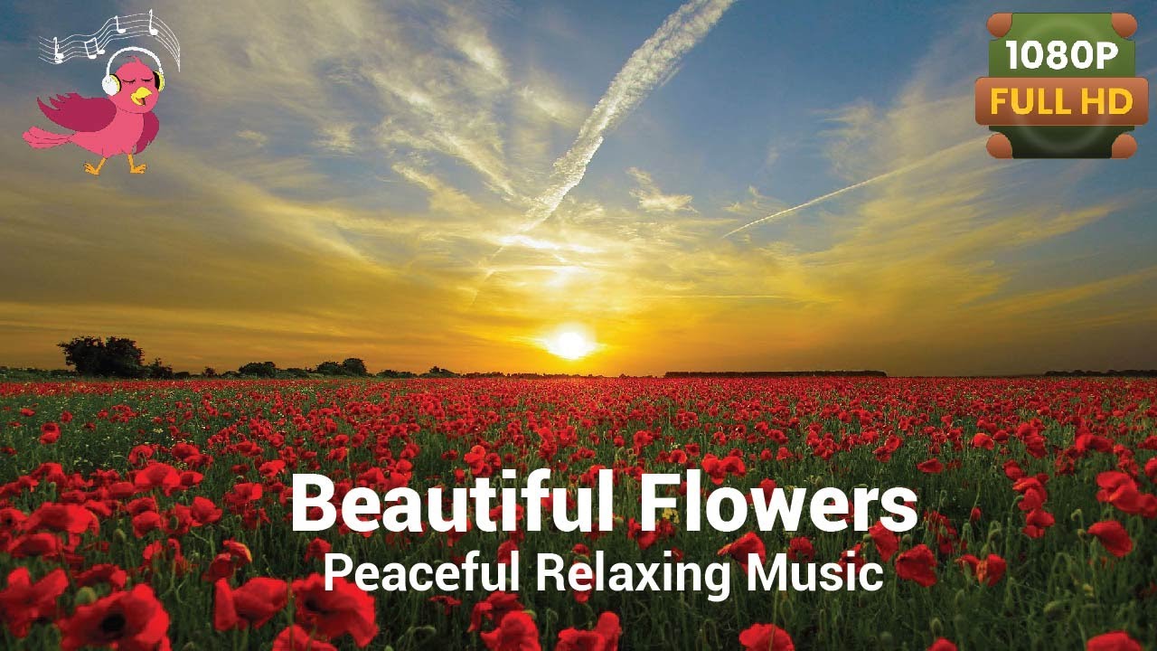 Beautiful Flowers Planet Earth Amazing Nature Scenery The Best