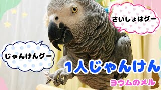 1人じゃんけん 【ヨウムのメル】