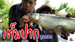 เต็มปากเต็มคำ 💥 ไม้ต่อไม้ ❗ ทุ่นหายมีตัวแน่นอน 🐠 #สปิ๋วเปอะ 💯 ปวดแขนตั้งแต่ตัวแรก