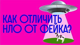 Как отличить НЛО от фейка? НЛО в Воронеже / Редакция.Наука