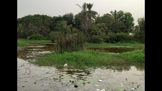 FLEUVE DE KOLDA ET SON ENSABLEMENT