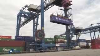 DFDS freight business in Rotterdam