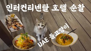 UAE 아부다비 인터컨티넨탈 호텔 순찰