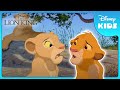 Simba's Epic Journey 🦁 | The Lion King | Disney Kids
