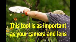 Simple Tool that is as Important as Your Camera and Lens for the Macro Photographer