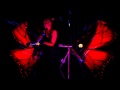 Sonic Butterfly Premiere