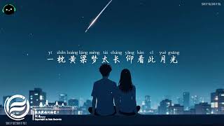 晚夜微雨问海棠 - 阿禹ayy「一枕黄粱梦太长 仰看此月光，当往事浮现 恍然如梦几场。」♪ 【動態歌詞/高音質/Pinyin/Lyrics Video】♪