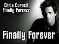 finally forever chris cornell lyrics