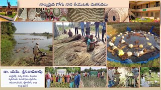 నార పంటల్లో నాణ్యత మరియు అధిక దిగుబడులు సాధించుటకు ఆచరించవలసిన మెళకువలు || డా.యమ్.శ్రీనివాసరావు