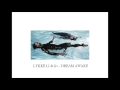 lykke li u0026 liv dream awake