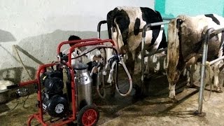 Melasty Bucket Milking Machine by HOPE India