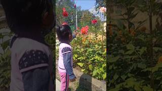 Dipu mini vlogs ||#shorts #dipu #adarsh #rhymes