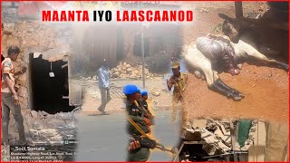 LAASCAANOOD:  Duqaymo culus oo ay maanta kugaraceen Ciidamada Somaliland ayaa sababay Burbur......